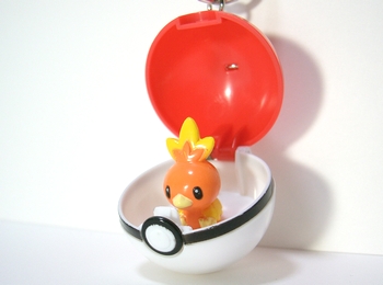 ポケモン図鑑 アチャモ（グッズ）