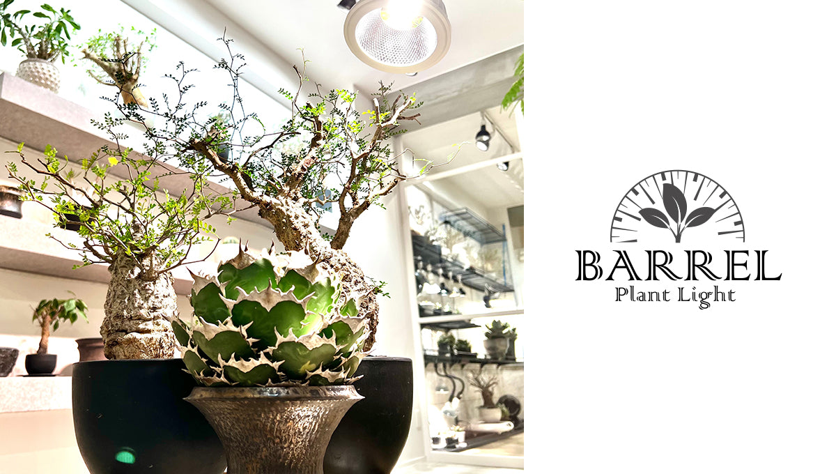 BARREL Official Website] SHOP BARREL for plant growing LED lights