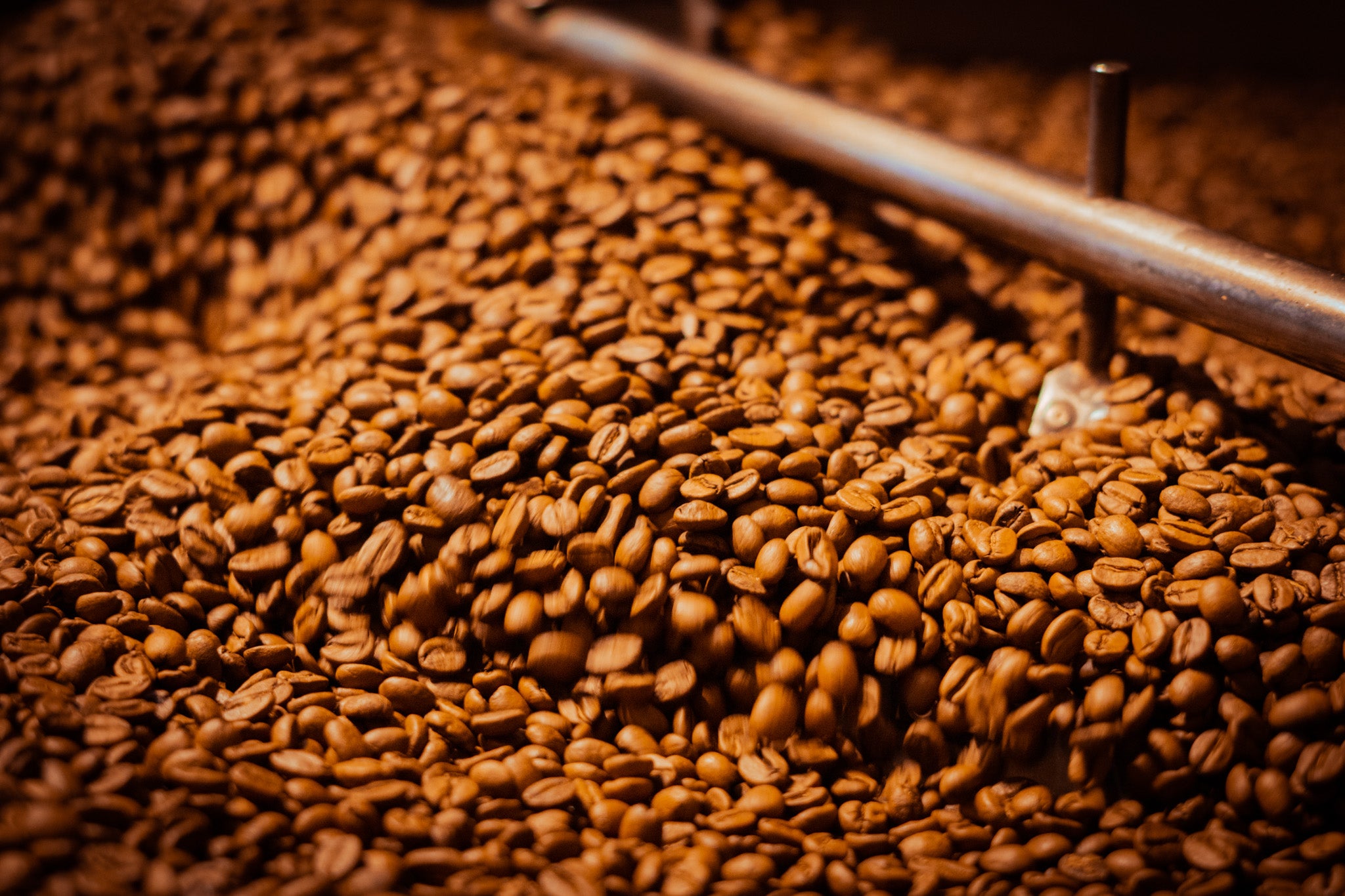 Espresso Milano | Brioso Coffee