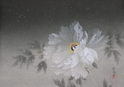 花岡哲象－「shopご購入案内」