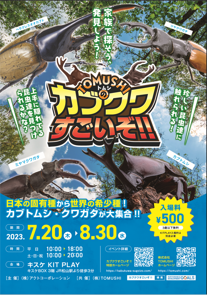 KITPLAY」に世界の希少種、日本の固有種カブトムシ・クワガタが大集合