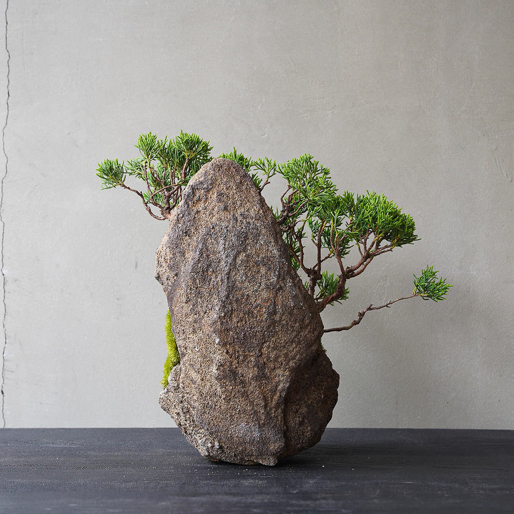 3-4_2_1024x.jpg?v=1751940124