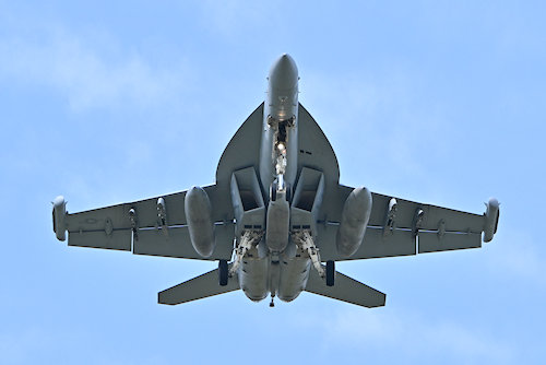 アメリカ海軍航空技術訓練センター厚木基地ワンピースチャレンジ