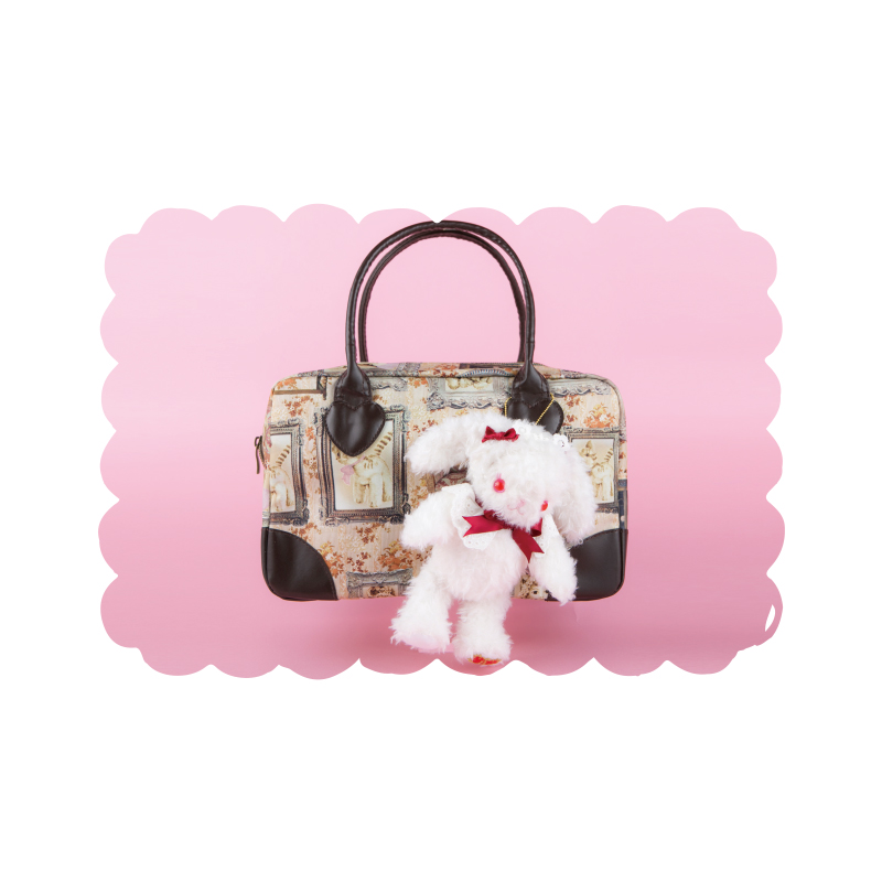 うさくみゃちゃんとくまくみゃちゃん ぬいぐるみ付きえほん│宝島社の