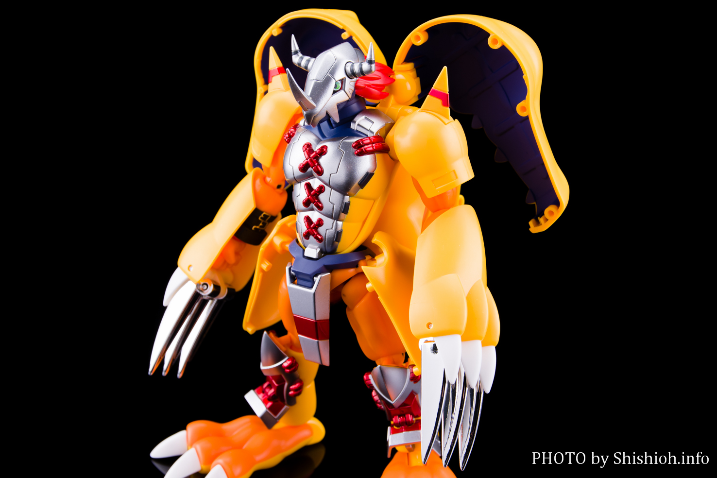 レビュー】超進化魂 01 ウォーグレイモン(商品サンプル)