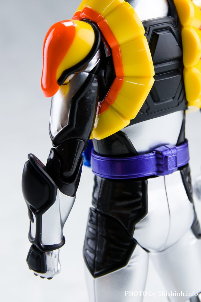 レビュー】S.H.Figuarts 仮面ライダーヴラム プリンカスタム