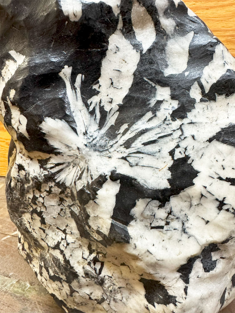 楽天市場】菊花石 【52】高さ約32cm 幅約22cm 送料無料 鑑賞石 景石