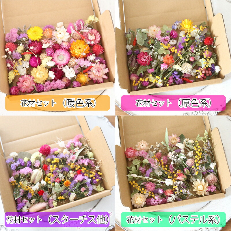 楽天市場】【選べる人気花材4個セット】ドライフラワー 花材セット
