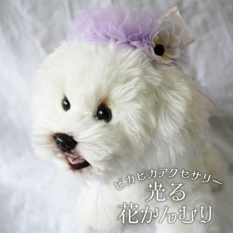 楽天市場】犬 ひかる 散歩 飾り 夏 春 花 ドッグ 衣装 帽子 花冠 全犬