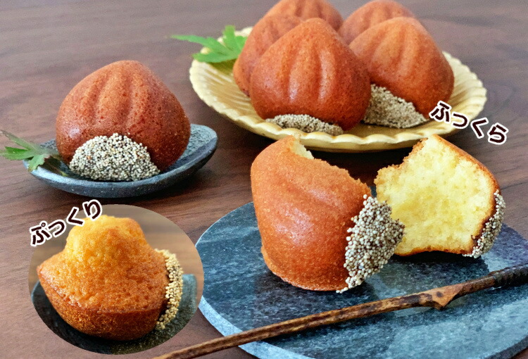 楽天市場】シリコン加工 マロン天板 12ヶ付（模様付） マドレーヌ型 焼