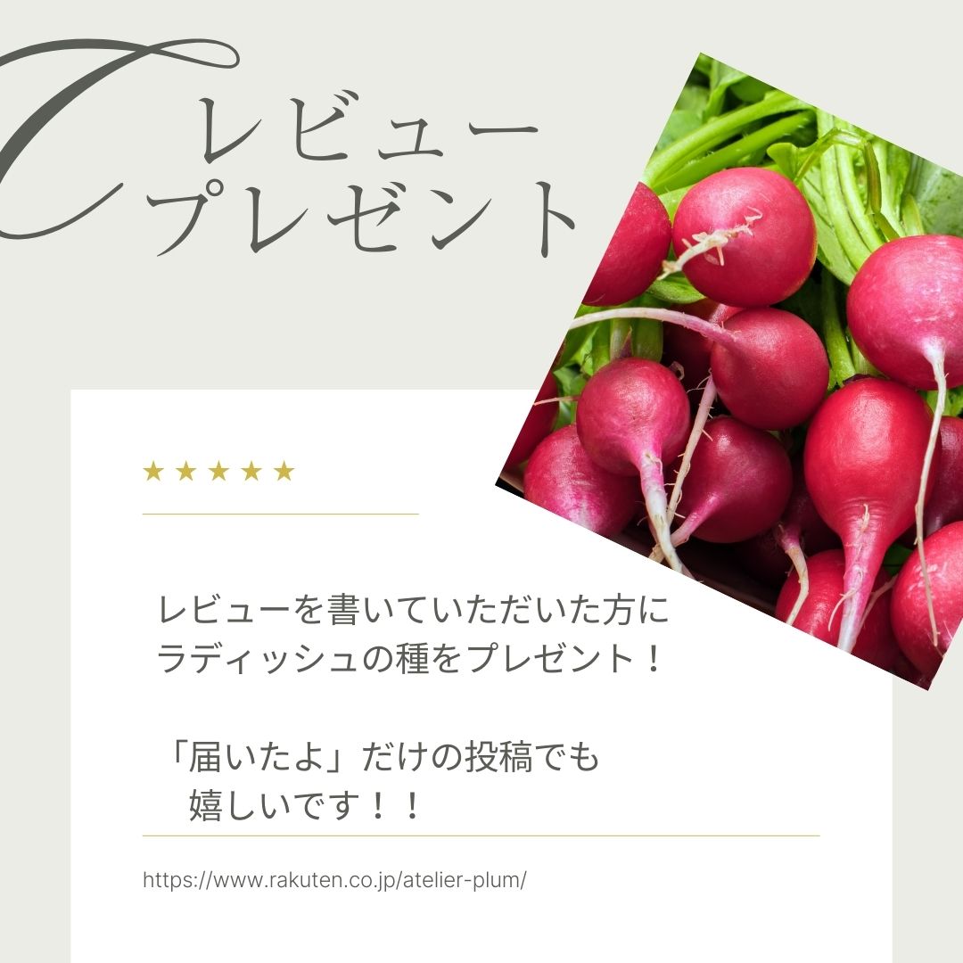 楽天市場】ニンジン 種 アロマレッド 【コート 650粒】 トーホク 種