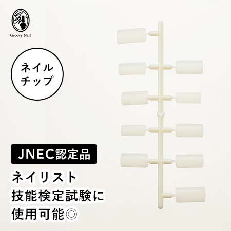 楽天市場】JNEC認定 STモデルハンド ネイルチップ 練習用/トレーニング