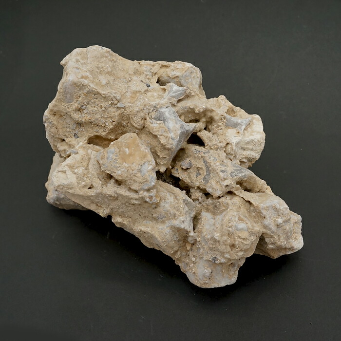 楽天市場】【 一点物 】 国歌さざれ石 原石 岐阜県産 約828g 日本銘石