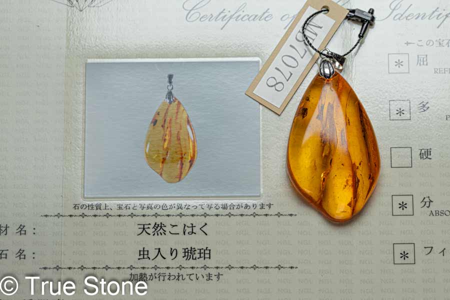 楽天市場】鑑別書付き バルティックアンバー 虫入り琥珀 5匹