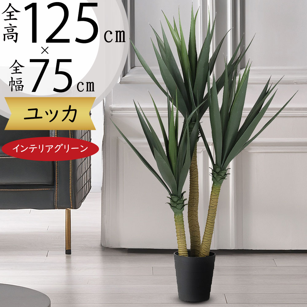 楽天市場】ドラセナ ユッカ フェイクグリーン おしゃれ 人気