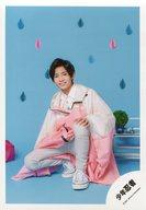 楽天市場】田村海琉の通販