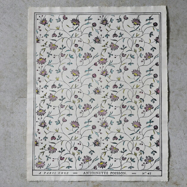 楽天市場】ドミノペーパー 41A Antoinette Poisson // アントワネット
