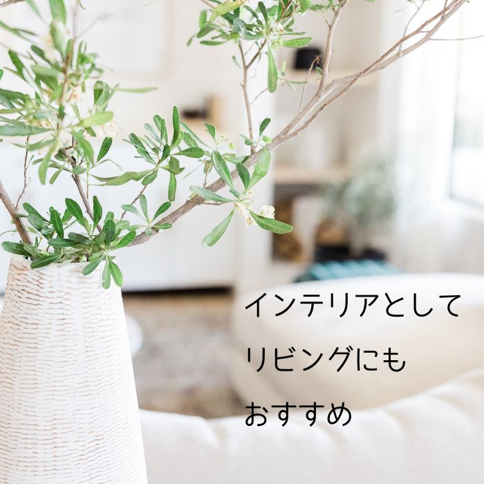 楽天市場】天然石 ユニコーンストーン ユニコーン ストーン 丸玉