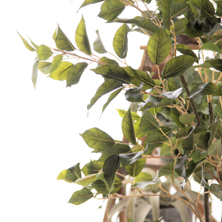 楽天市場】No9276 プレミアム光触媒フェイクグリーン 「フィカス