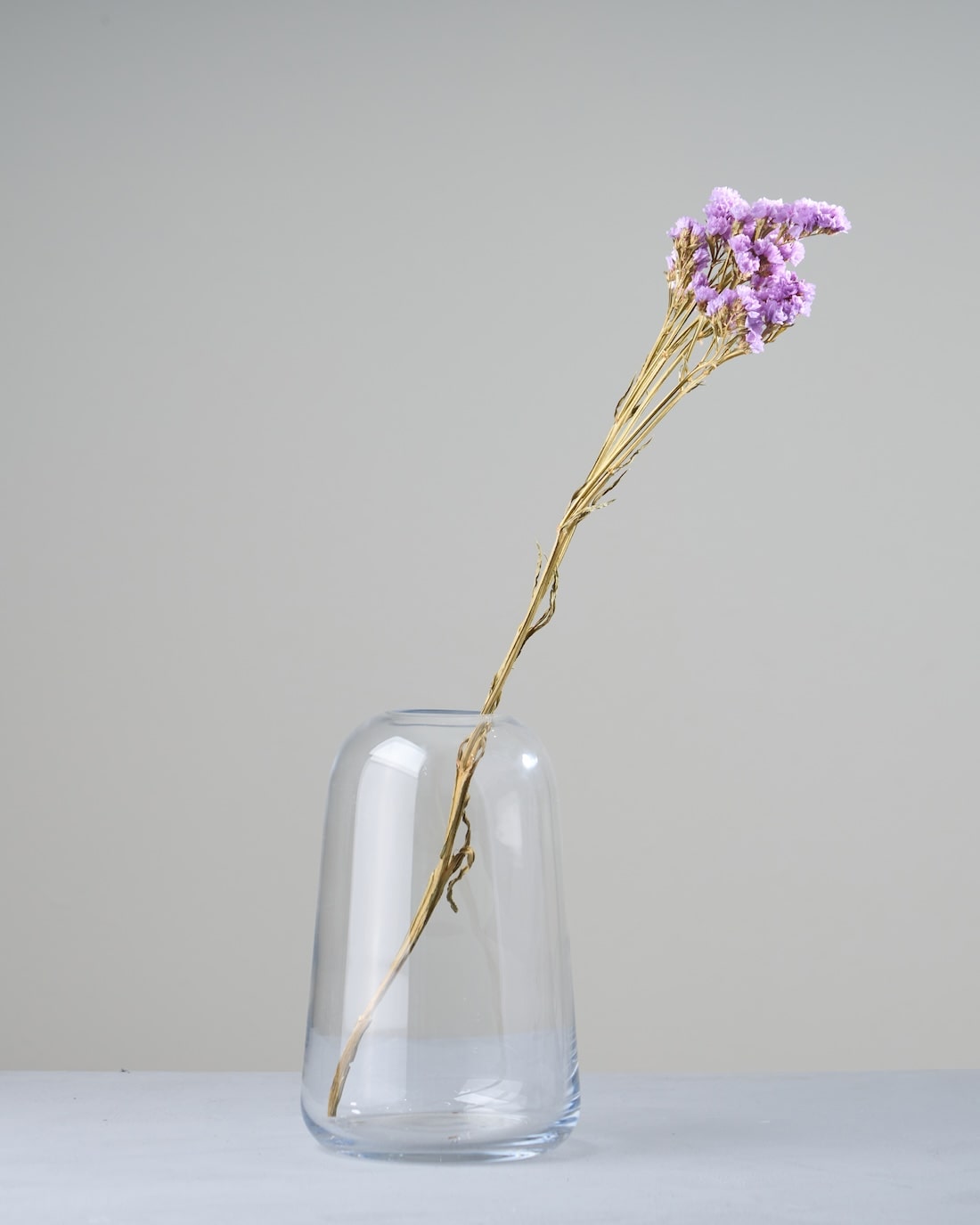 スターチス 通販｜ドライフラワー・スワッグ専門店 土と風の植物園