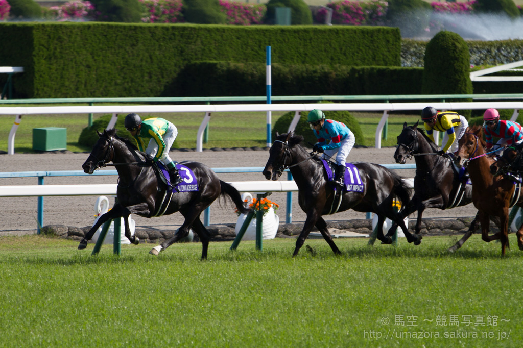 競馬写真】2014年 第149回天皇賞・春(GI) フェノーメノ