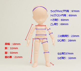 11BD-D01 11cmオビツボディ [Obitsu Body] | 公式キャラクターグッズ