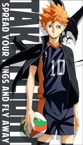 日向翔陽ビッグタオル [ハイキュー!!] | 公式キャラクターグッズ販売の