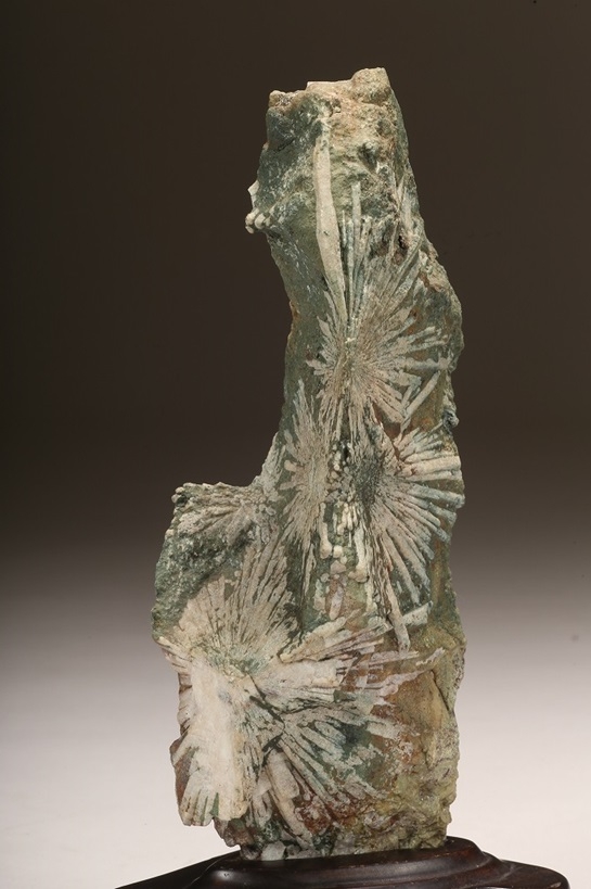 下仁田菊花石 銘「華美」 | 雨竹亭オンラインショップ