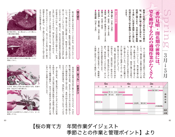 椿・桜の育て方 | 盆栽、盆栽書籍、盆栽鉢の通販│近代出版