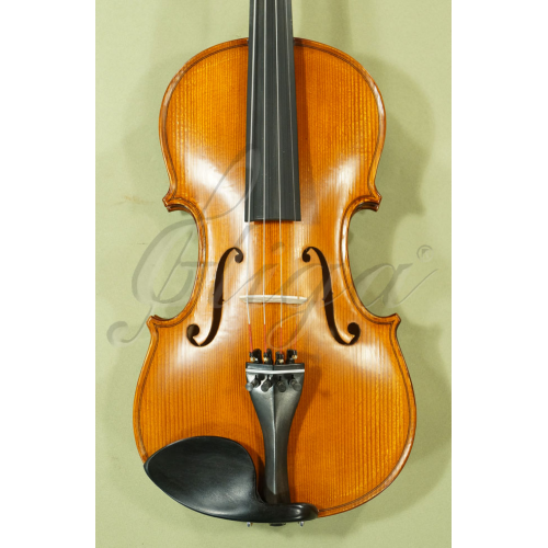 4/4 Full-Size Beginner Gliga 'GENIAL 2-Nitro' Violin | GLIGA