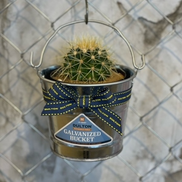 STORE BLOG 詳細 | ダルトン