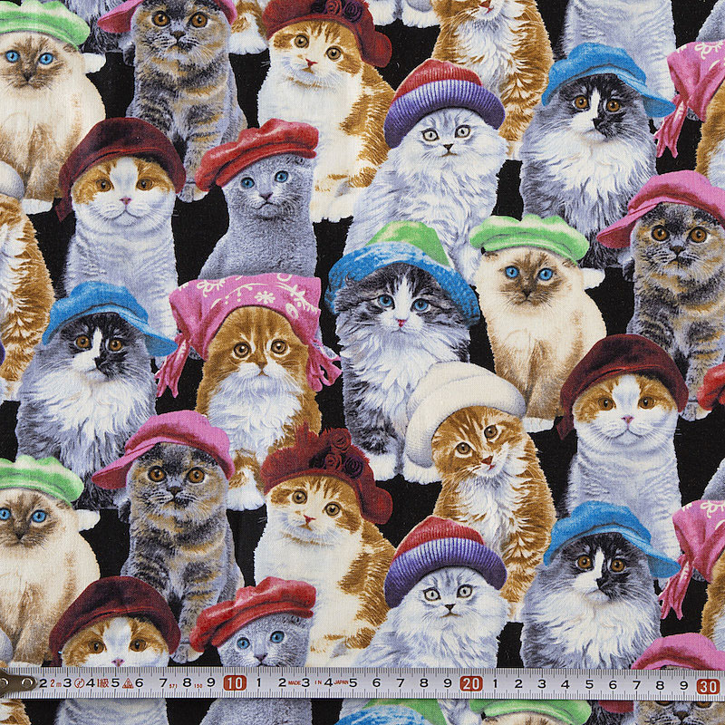 Fairy Cotton / 帽子を被ったネコ ブラック