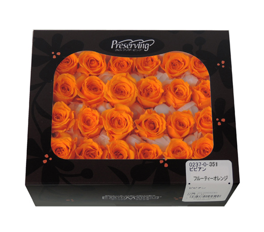 大地農園・ビビアン・クリスタルピンク24輪・アウトレット