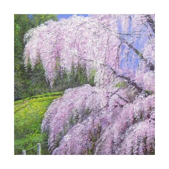 絵画 油絵 三春滝桜 （木村由記夫） 送料無料 【肉筆】【油絵】【桜絵