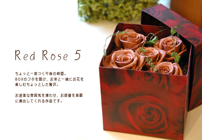 RedRose5(ブラウン) | プリザーブドフラワー専門店 フラワーギフト 花