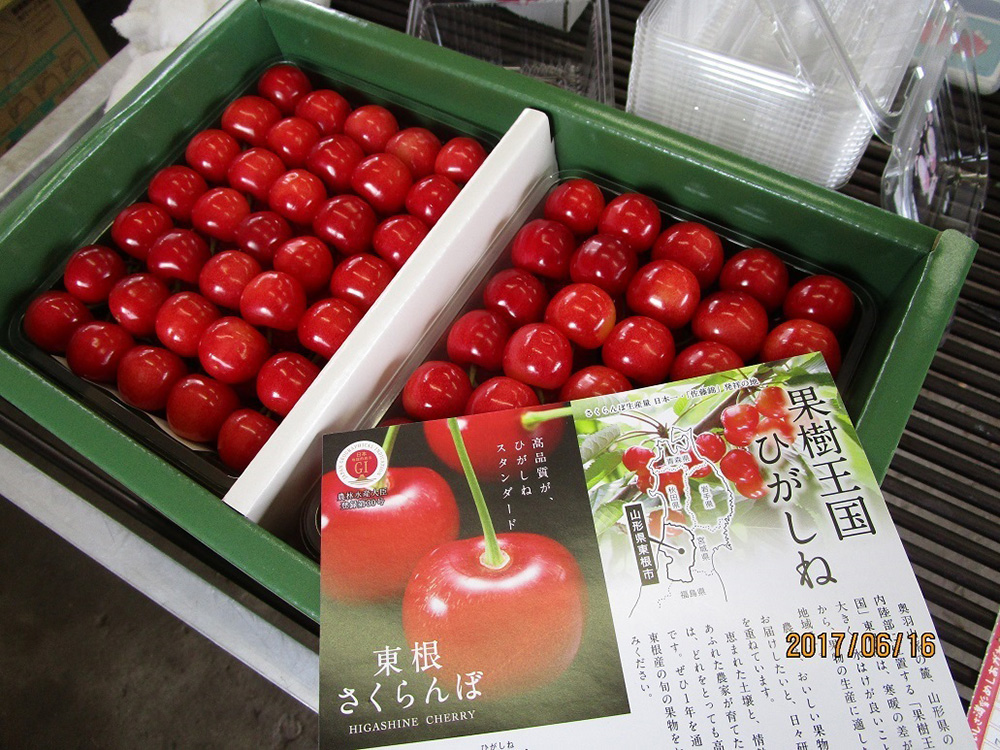 北村果樹園 | 東根さくらんぼ 地理的表示（GI）保護制度