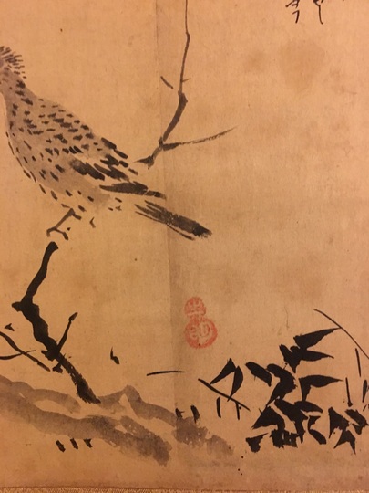 狩野探幽 縮図 梅鵯｜古美術・掛け軸の販売・買取・鑑定-松本松栄堂