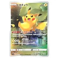 スイクンV SAR [VSTARユニバース] S12a 215/172 買取 | ポケモンカード