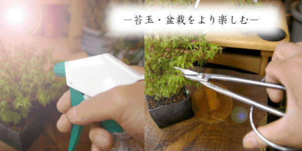 根切りや太い枝にもオススメ！錆びにくいステンレス製【ステンレス製