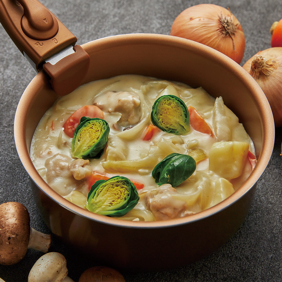 VISIONS GOLD Coating IH対応クックウェア5pcsセット CP-8725