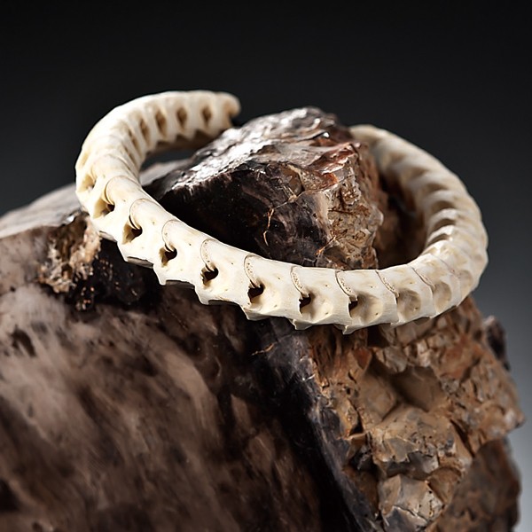 神秘の蛇骨ブレスレット(メンズ,スカル,ブレス,アクセサリー,タイ