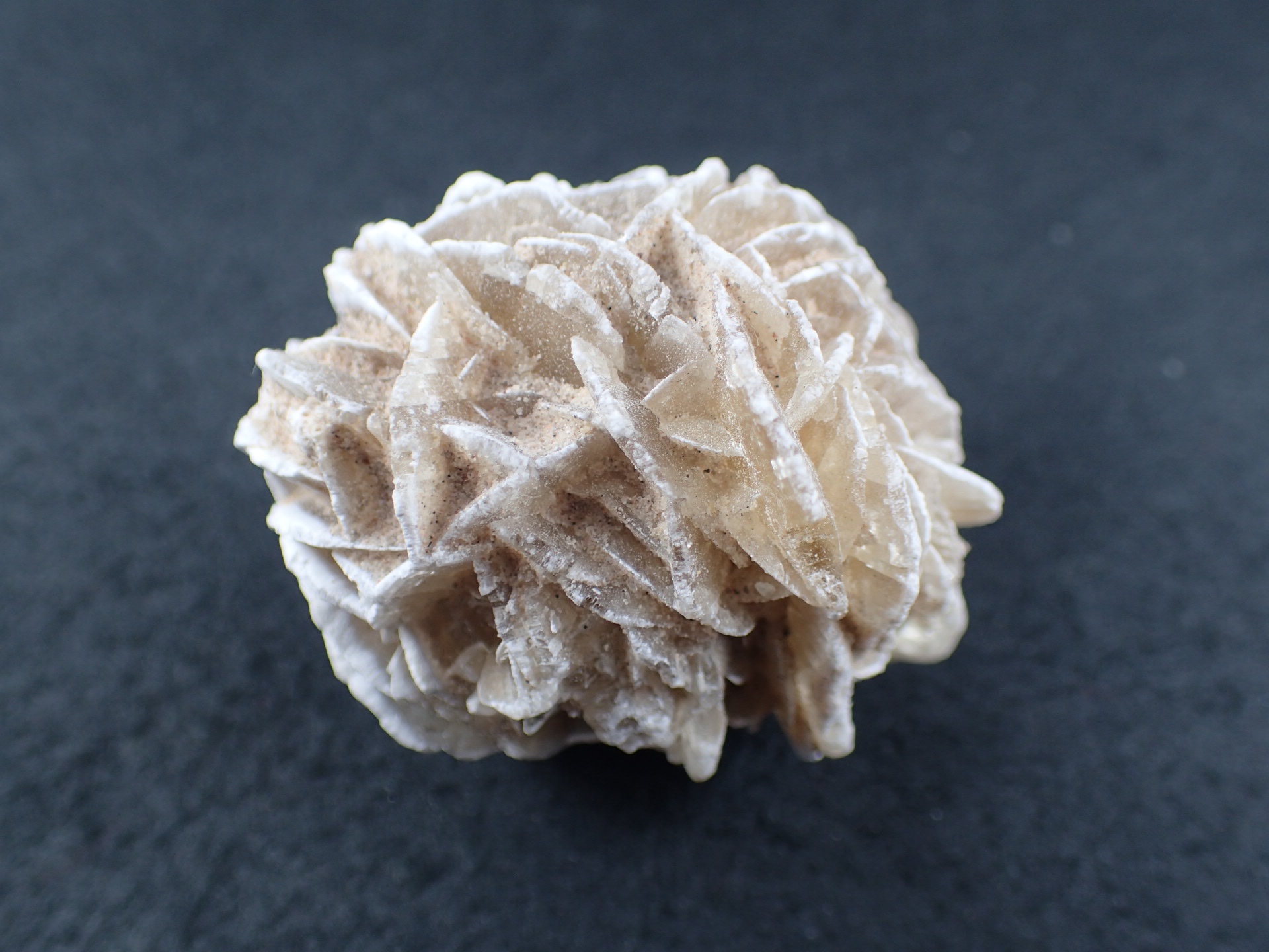 砂漠の薔薇（デザートローズ） モロッコ・サハラ砂漠 産 ｜石の販売