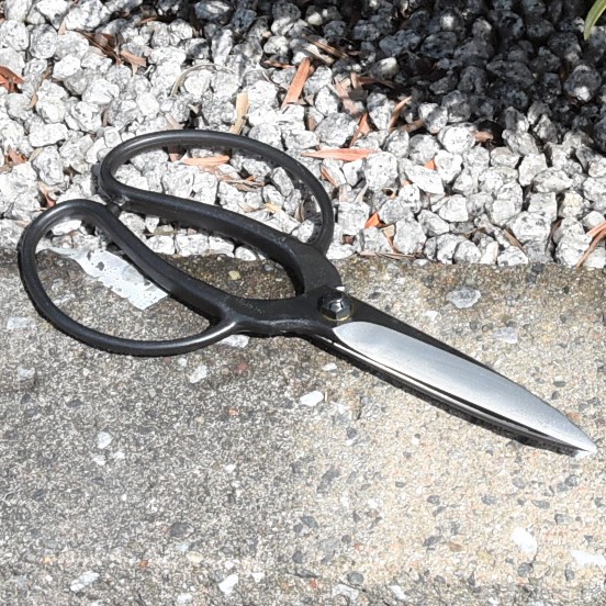 造園道具.com / 鋏正宗 植木鋏 150mm 青紙 ネジ No.205