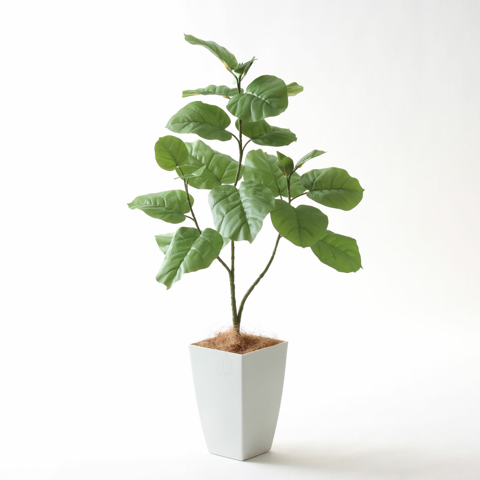 No92106 プレミアム光触媒フェイクグリーン 「ゆるやかな枝ぶり × 個性