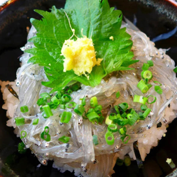 瀬戸内産 生冷 シラス 100g ( しらす / 個食パック ) [ 4972832640333