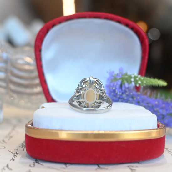 DSC_5667_550x550.jpg?v=1720246142