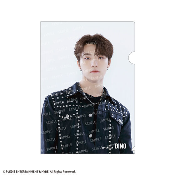 SVTクリアファイルvol.2 From PLEDIS ENTERTAINMENT SEVENTEEN