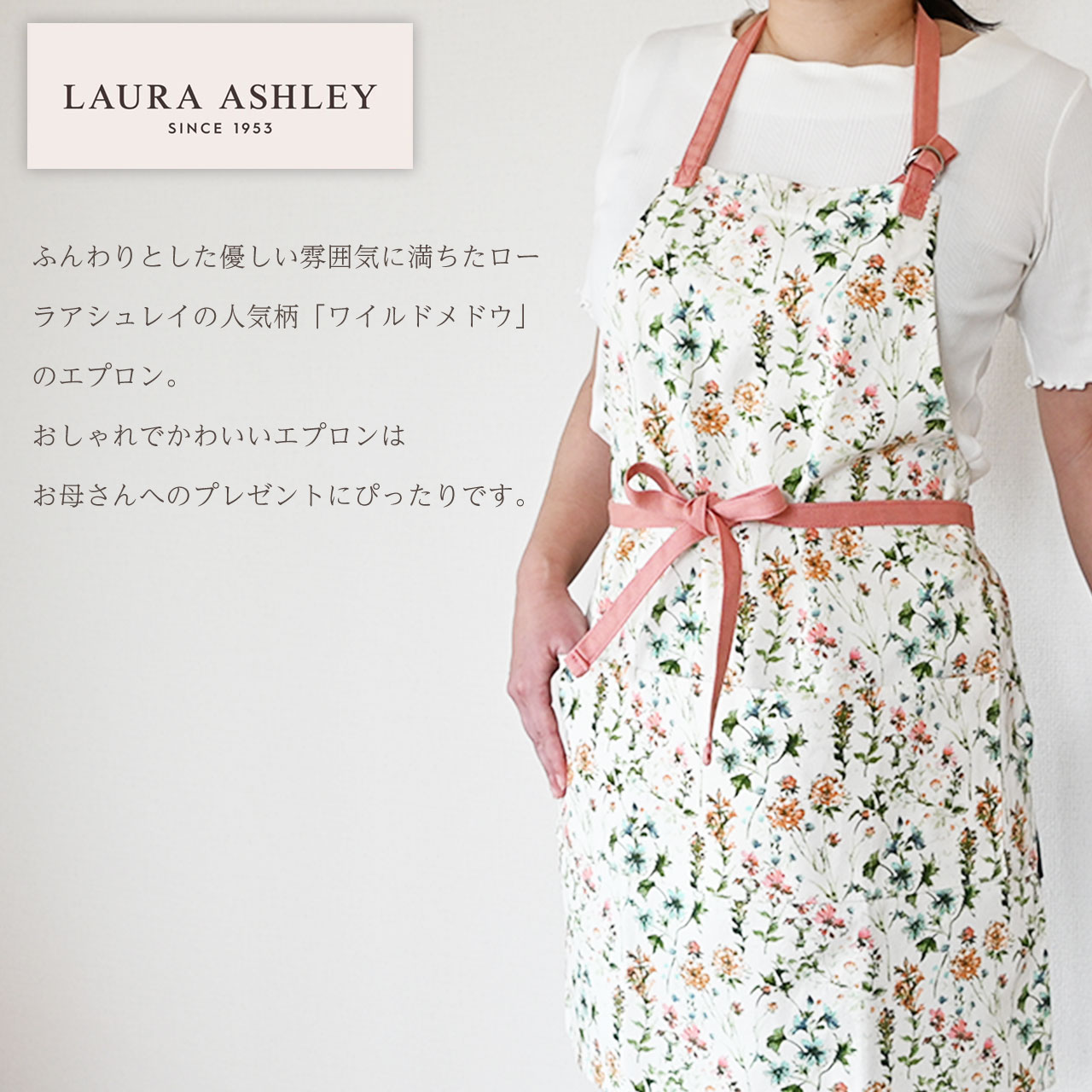 母の日 カーネーション＆エプロンセット（ひなあられ5号鉢＆ローラ