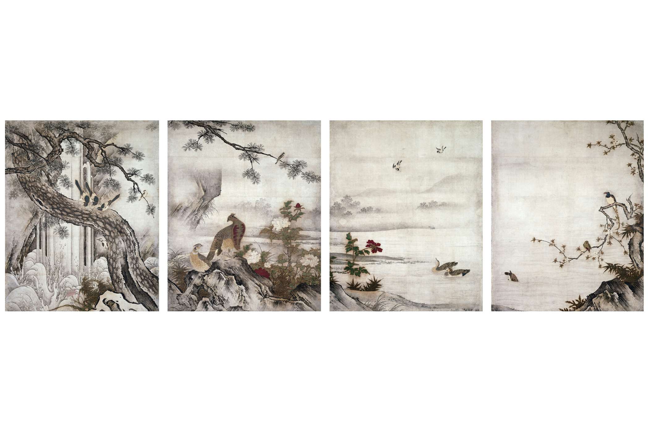 w_motonobu_001.jpg?auto=format