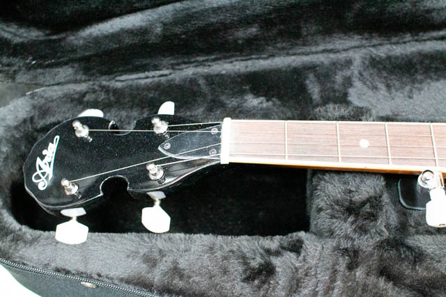 リュック式 背中に背負える 軽量 バンジョーケース 5弦バンジョー用